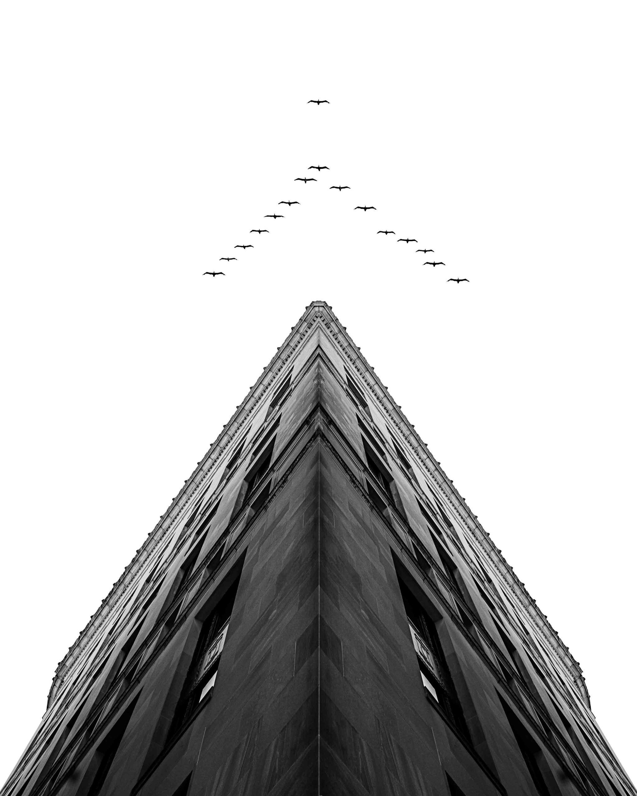 e41dd8862d9c37f22f72238df209a0e6